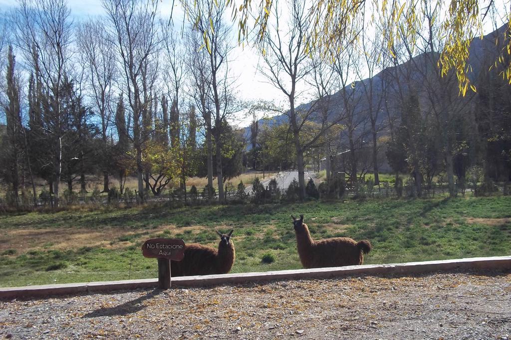 Posada Inti Tanpu Tilcara Exteriér fotografie